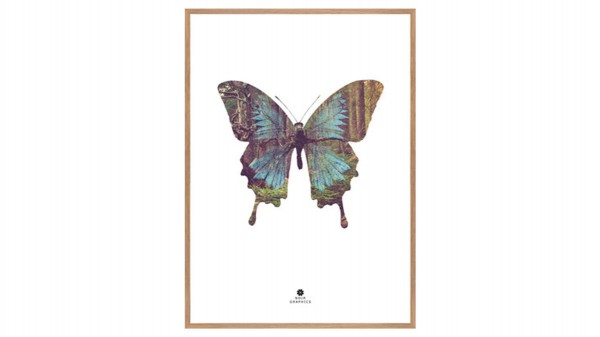 Kunstdruck Butterfly